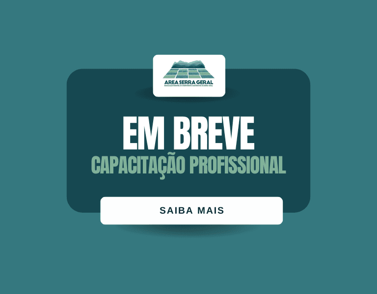 Novas oportunidades de capacitação profissional